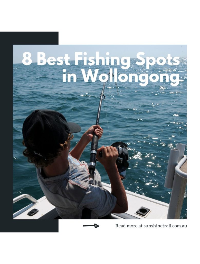 best fishing spots in wollongong